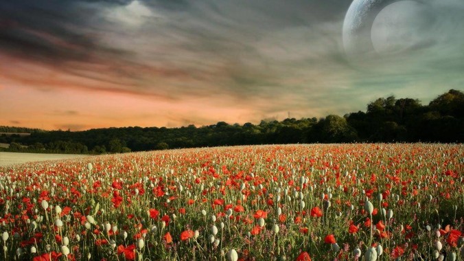 你生活中做过最自律的一件事是什么？